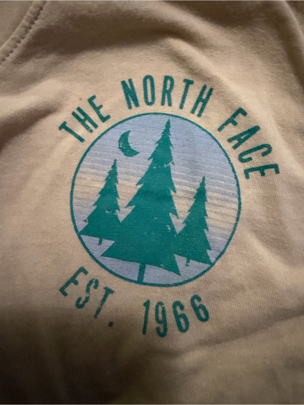 The North Face Cream Tee with Teal Logo Print
